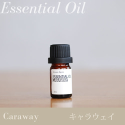 キャラウェイ精油3ml~　アロマオイル/エッセンシャルオイル/ケモタイプ精油/Caraway/Essential Oil 1枚目の画像