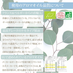 ひんやりクールミスト2本セット/冷感マスクスプレー/ミント/ハッカ/オーガニックアロマ使用/アロマミスト 5枚目の画像