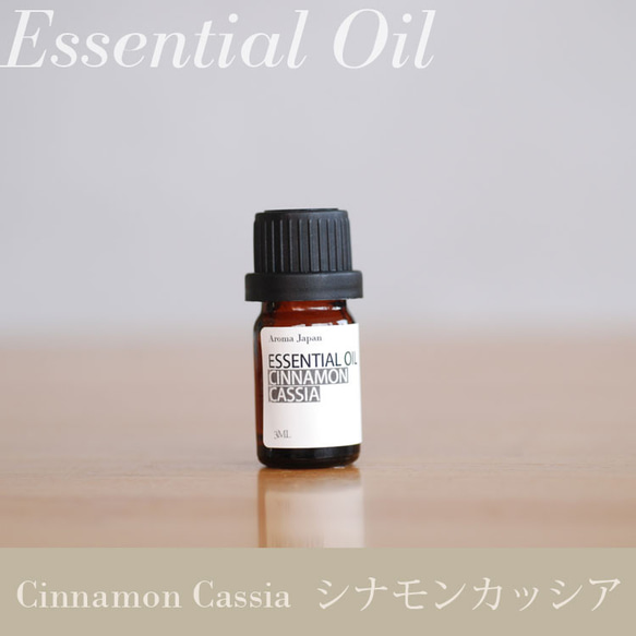 希少  聖書の中の10のオイル 聖書の中の10のオイルエッセンシャルオイル ヤングリヴィング ☆希少