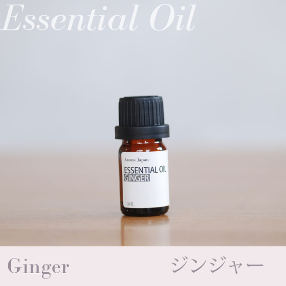 ジンジャー精油3ml~ アロマオイル/エッセンシャルオイル/ケモタイプ精油/Ginger/Essential Oil 1枚目の画像
