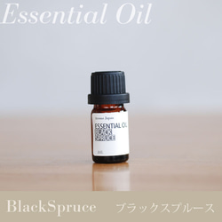 ブラックスプルース精油3ml~ アロマオイル/エッセンシャルオイル/ケモタイプ精油/Black Spruce 1枚目の画像