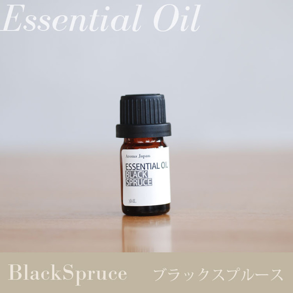 ブラックスプルース精油3ml~ アロマオイル/エッセンシャルオイル/ケモタイプ精油/Black Spruce 1枚目の画像