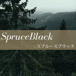 ブラックスプルース精油3ml~ アロマオイル/エッセンシャルオイル/ケモタイプ精油/Black Spruce 2枚目の画像