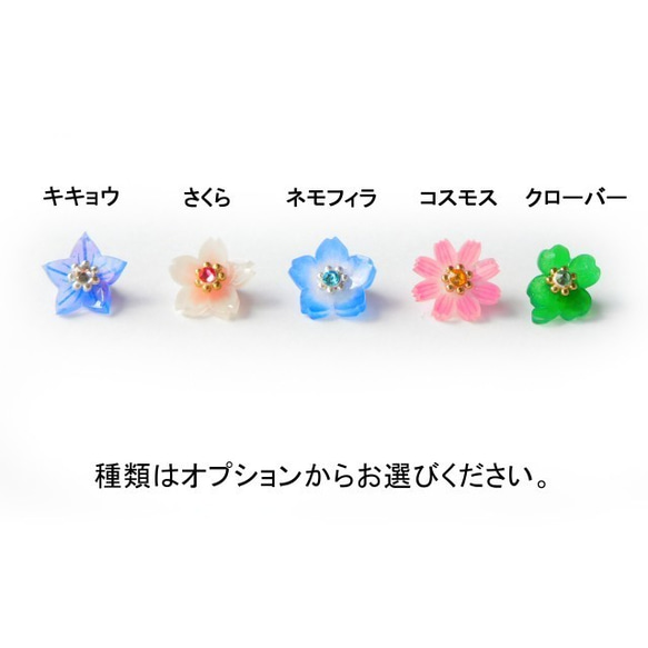 季節のお花のピンバッジ（ネモフィラ・桜・桔梗・コスモス・クローバー） 7枚目の画像