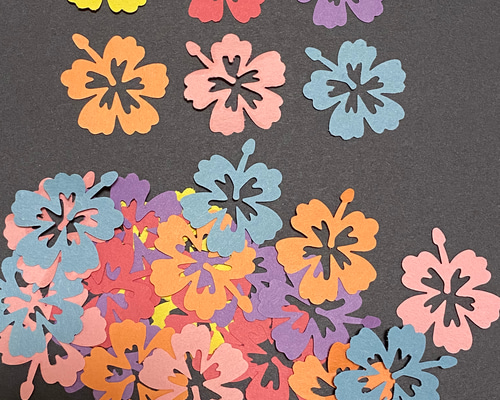 1_c8722ac6ef7256747219974cd5b5