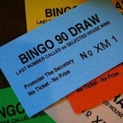 BINGO チケット カードタイプ  100枚(10色✕10枚) 2枚目の画像