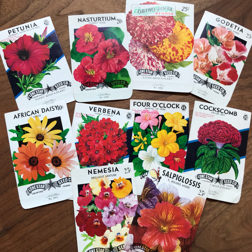 ヴィンテージ種袋 26種類アソート ラッピング袋 Pokke 通販 7765441