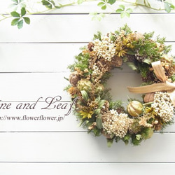 ニゲラとライスフラワーのクリスマスリース[W-16121] ~Vine and Leaf の Christmas~ 1枚目の画像