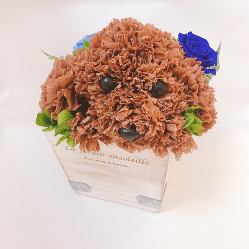 犬　トイプードル　プリザーブドフラワー フラワーペット【白プードル】プリザーブドフラワー トイ