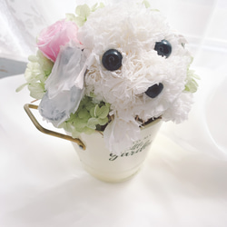 【送料無料】再販♡カーネーションの犬　マルチーズ　シーズー【ミニ】フラワーペット　アニマルフラワー 2枚目の画像
