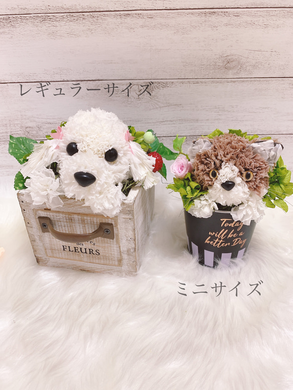 【送料無料】再販♡カーネーションの犬　マルチーズ　シーズー【ミニ】フラワーペット　アニマルフラワー 7枚目の画像