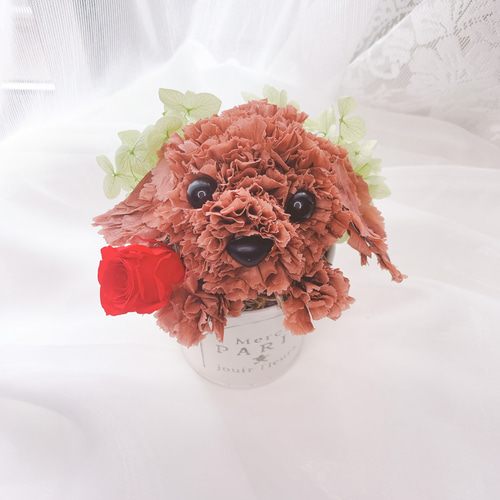 犬　トイプードル　プリザーブドフラワー プリザーブドフラワー犬 トイプードル cute 結婚祝い 誕生日