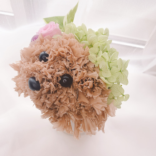 送料無料】カーネーションの犬 トイプードル プードル【ミニ