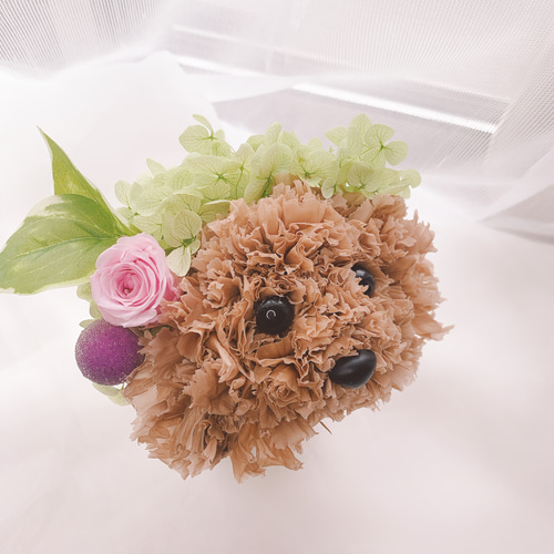 送料無料】カーネーションの犬 トイプードル プードル【ミニ