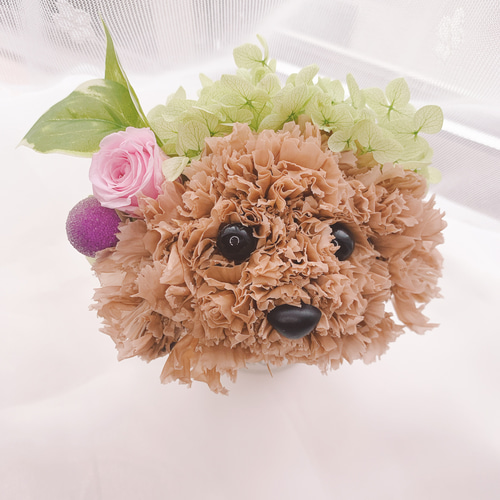 プリザーブドフラワー犬 トイプードル cute 結婚祝い 誕生日