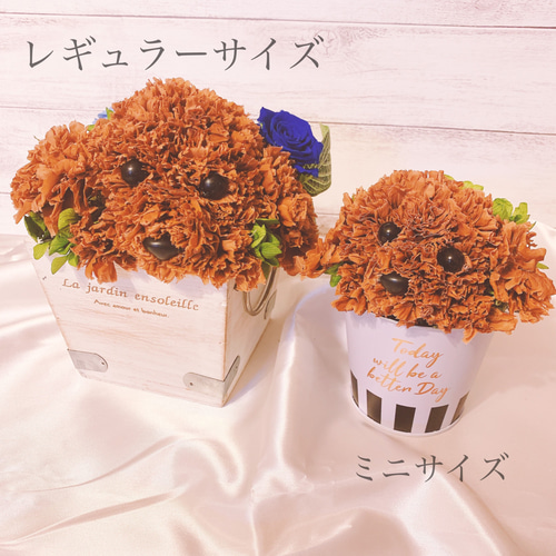 送料無料】カーネーションの犬 トイプードル プードル【ミニ】フラワー