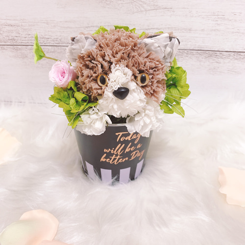 猫の顔 プリザーブドフラワー LED付き 猫の顔 プリザーブドフラワー