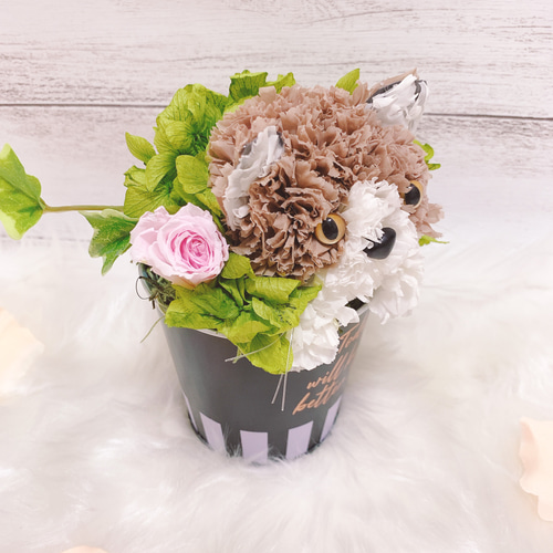 送料無料】再販♡カーネーションの猫【ミニ】フラワーペット