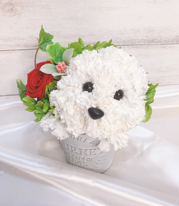 送料無料】カーネーションの犬 ビションフリーゼ 【レギュラーサイズ