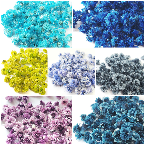 かすみ草ドライフラワー50粒セット(パステルカラーmix) その他