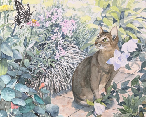 庭のめい Mei in the garden 猫の絵 花の絵 原画 絵画 Setsu 通販