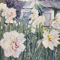 水仙の庭　  Narcissus garden 　透明水彩画　原画　花の絵 1枚目の画像