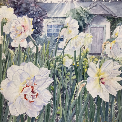 水仙の庭 Narcissus garden 透明水彩画 原画 花の絵 絵画 Setsu 水仙の庭 Narcissus garden 透明水彩画 原画 花の絵 絵画 Setsu