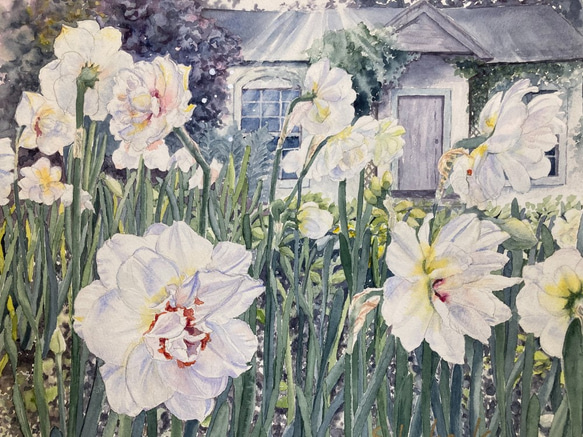 水仙の庭　  Narcissus garden 　透明水彩画　原画　花の絵 1枚目の画像