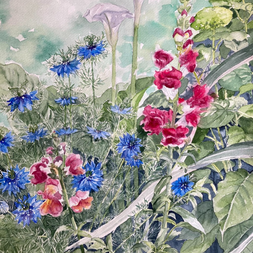 5月の庭」水彩画 原画 F6 金魚草とニゲラ 花の絵 庭の絵 絵画