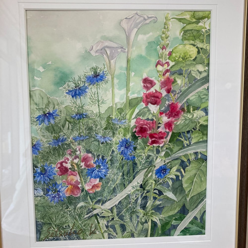 5月の庭」水彩画 原画 F6 金魚草とニゲラ 花の絵 庭の絵 絵画 5月の庭」水彩画 原画 F6 金魚草とニゲラ 花の絵 庭の絵 絵画