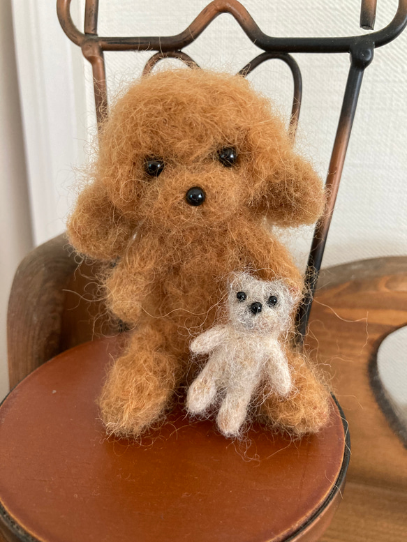 おすわりトイプードル(もふもふ)とクマさん(羊毛フェルト) 羊毛 