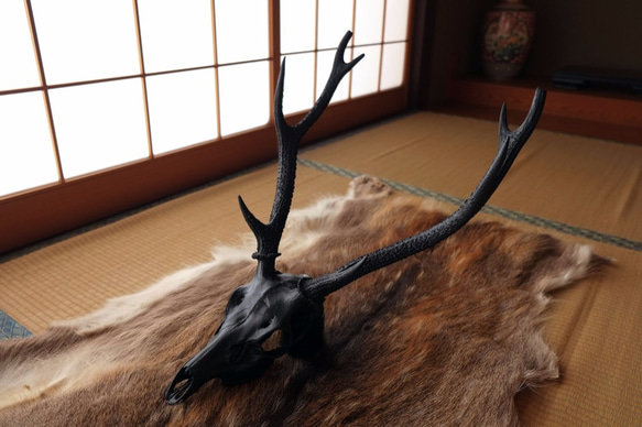 deer skull #1 black 2枚目の画像