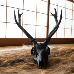 deer skull #1 black 1枚目の画像