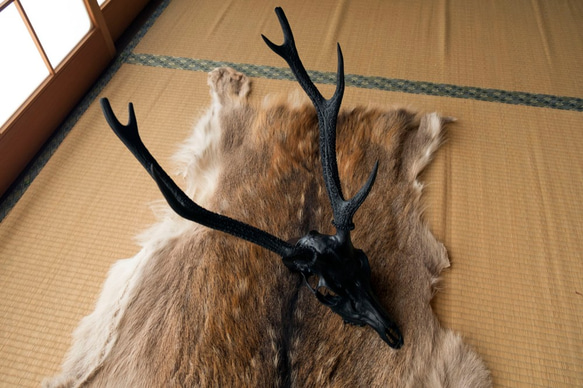 deer skull #1 black 3枚目の画像