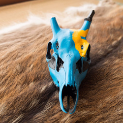 deer skull #3 blue 2枚目の画像