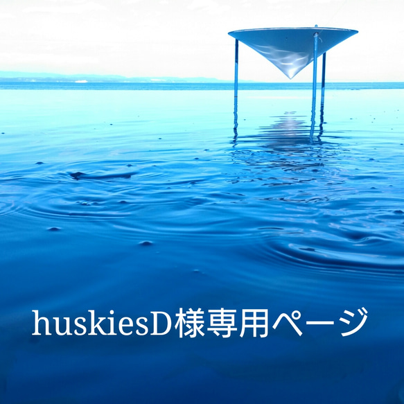 huskiesD様専用ページ 1枚目の画像