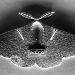 moth pendant 3枚目の画像