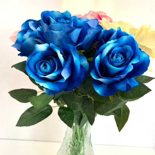 青い薔薇 様@AF & KC & IW 青い薔薇 様@AF & KC & IW 青薔薇 (@muaqnili) / X
