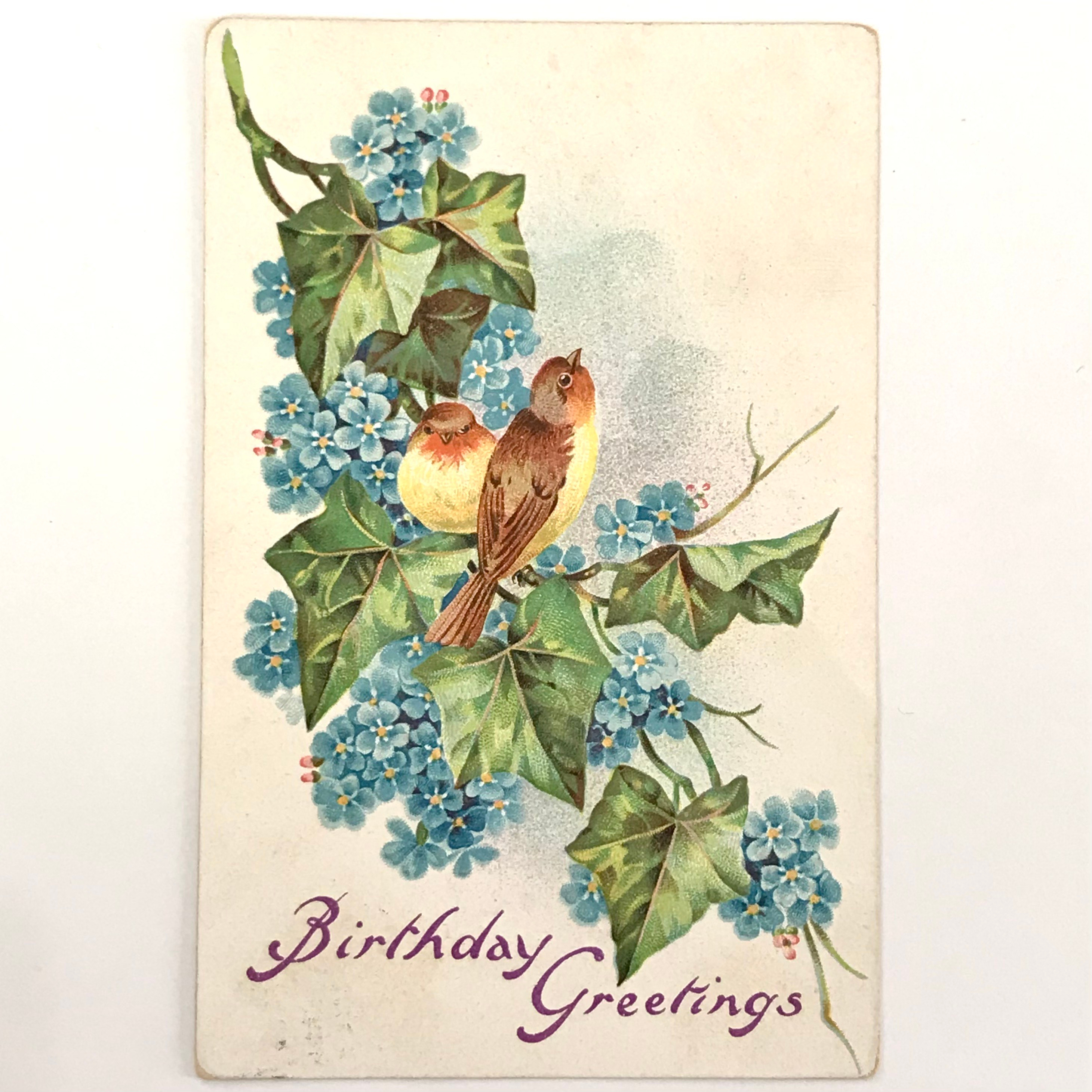 アンティーク ポストカード 1900's バード ブルー 小花 エンボス 