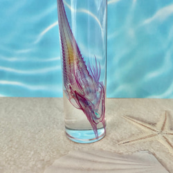 【深海魚】透明標本(キホウボウ全長約105mm) (良品) 2枚目の画像