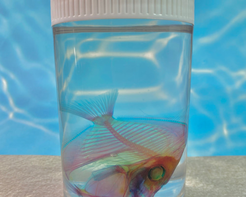 1_db7d0a58250fd3070765bafe1271