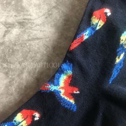 カラフルオウム柄 メンズ靴下❤️スケーターソックス ポップアート グラフィックアート 鳥トリ 6枚目の画像