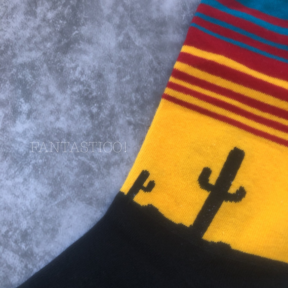 メキシコ柄メンズ靴下❤️夕陽とサボテン スケーターソックス グラフィックアート ポップアート クリスマスプレゼントギフト 5枚目の画像