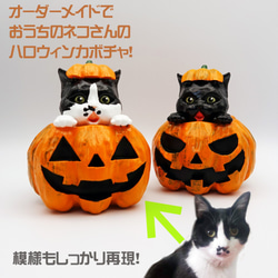 【オーダーメイド】猫ちゃんのびっくりハロウィンかぼちゃ 1枚目の画像