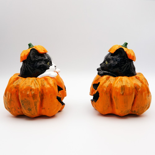 MDD (S/M)、ネコちゃんのハロウィンかぼちゃんドレス10点セット