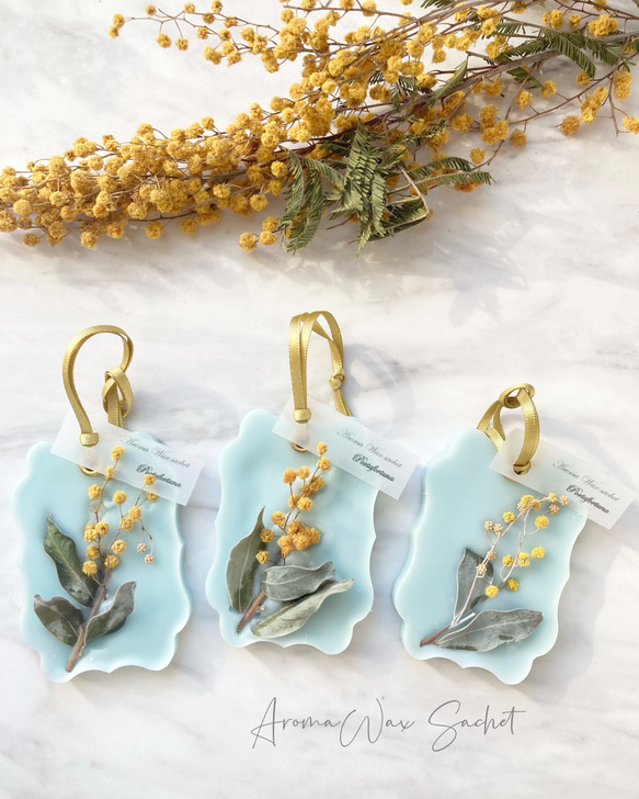 アロマワックスサシェ❁⃘*.゜春③