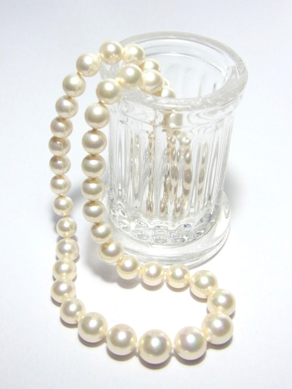 日本製造高品質貝殼珍珠白色漸變項鍊禮儀場合入學學校 第3張的照片