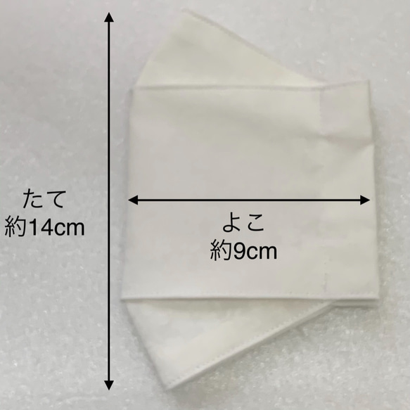  第9張的照片