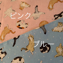 ランチョンマット☆ 眠り猫さん♪2カラー 3枚目の画像