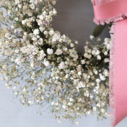 桜色リモニュームとカスミ草のリース（ドライフラワー） 4枚目の画像